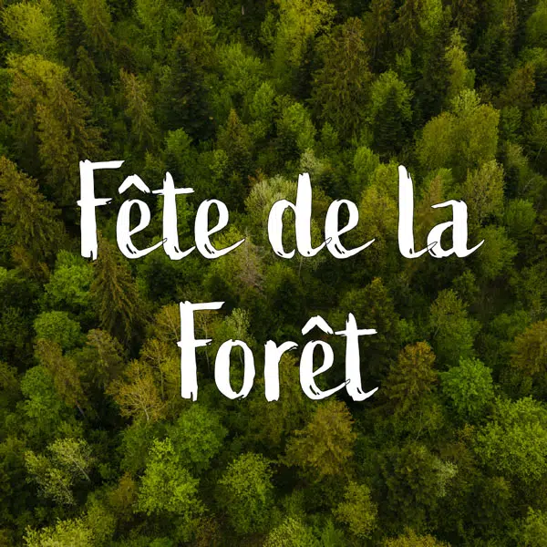 Fête de la forêt