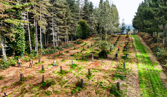 Notre Fonctionnement