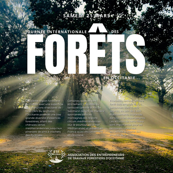 Journée Internationale des Forêts