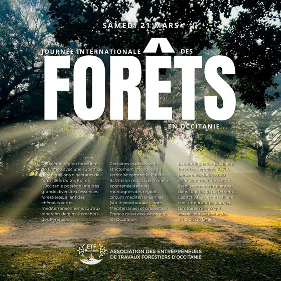 Journée Internationale des Forêts