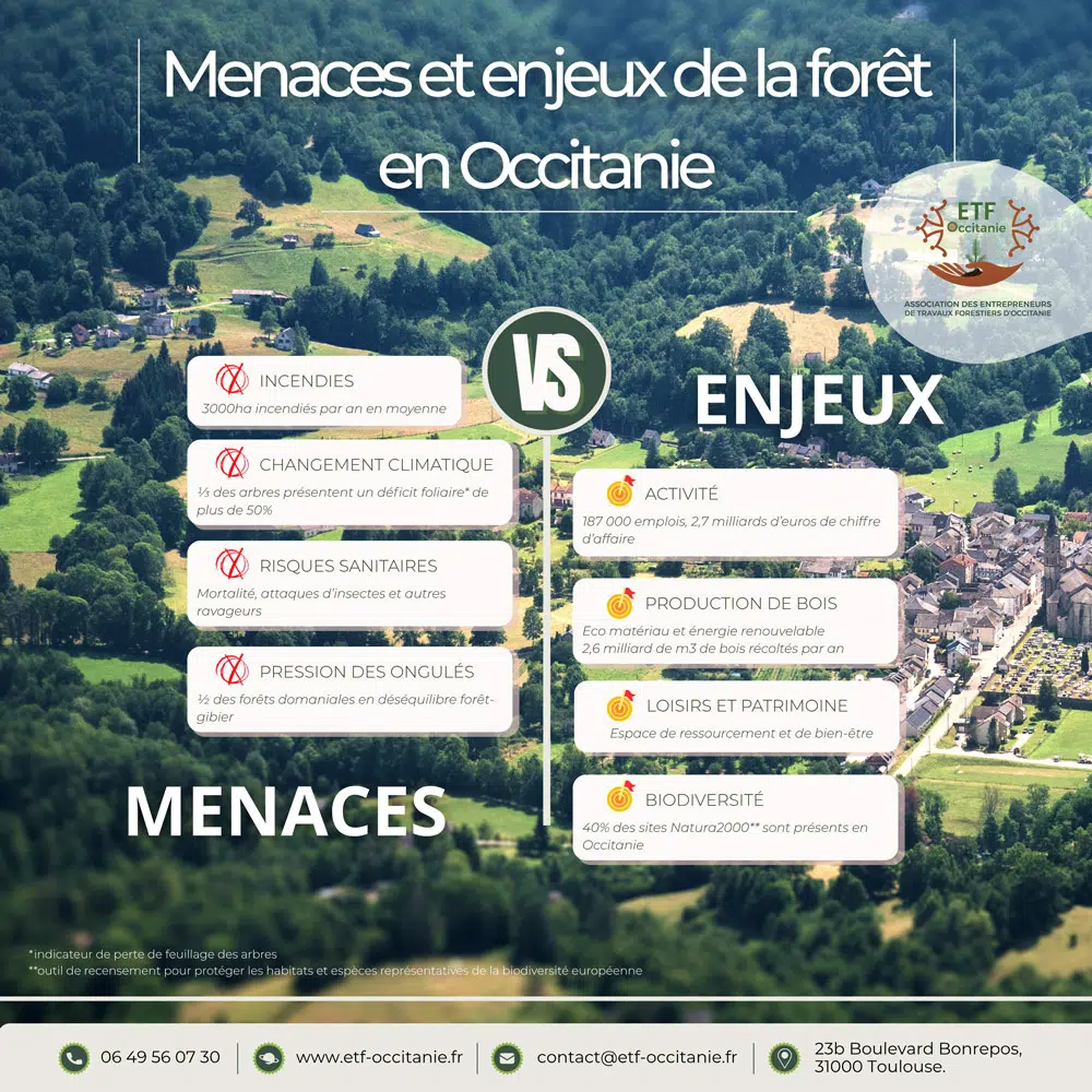 Journée Internationale des Forêts