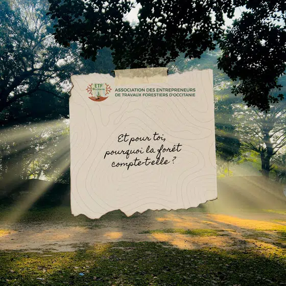 Journée Internationale des Forêts