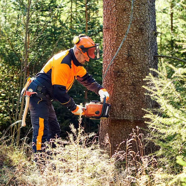 Les métiers de la forêt