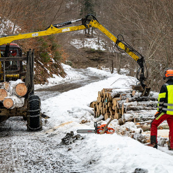 Les métiers de la forêt