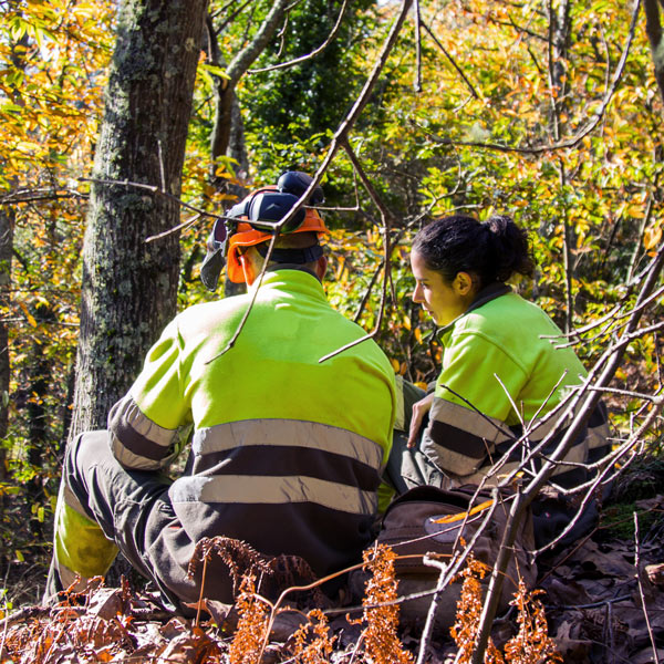 Les métiers de la forêt