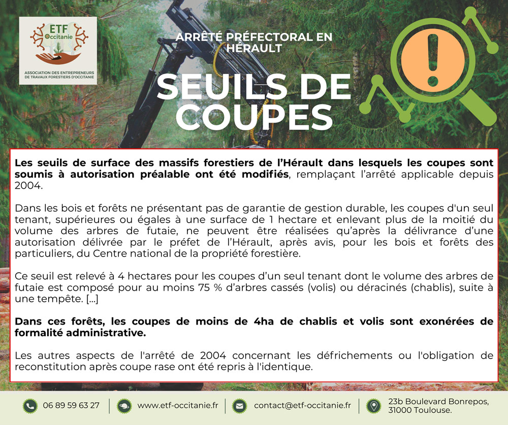Nouveaux seuils pour les coupes en forêt dans l’Hérault : ce qui change en 2026